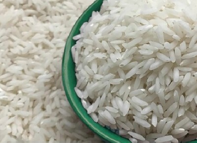 قیمت خرید برنج هاشمی طارم با فروش عمده